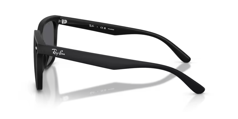 RAY-BAN RB4466D Sunglass