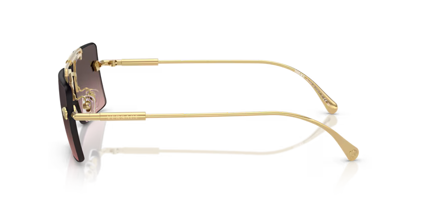 VERSACE VE2245 Sunglass