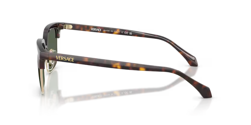 VERSACE VE4494D Sunglass