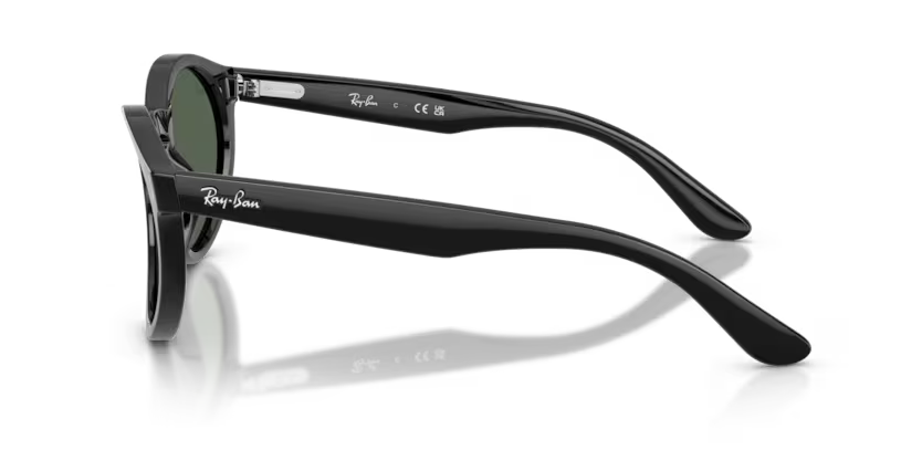 RAY-BAN RBR0505S Sunglass
