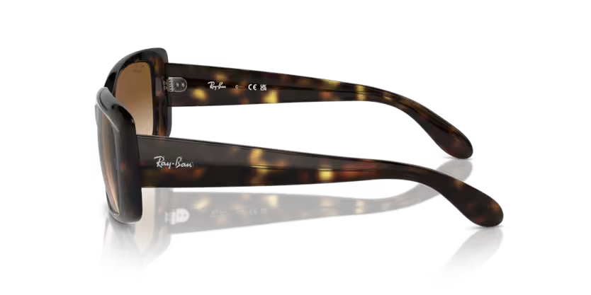 RAY-BAN RB4389 Sunglass