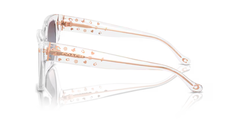 COACH HC8392U Sunglass online in India – premium sunglasses for men and women