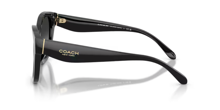 COACH HC8438U Sunglass online in India – premium sunglasses for men and women