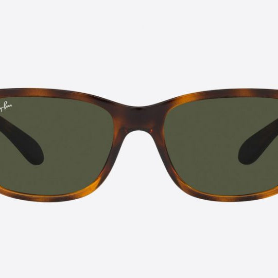 RAY-BAN RAY-BAN RB4388 Sunglass tortoise pillow sunglass for Unisex