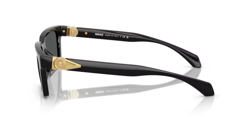 VERSACE VE4490U Sunglass