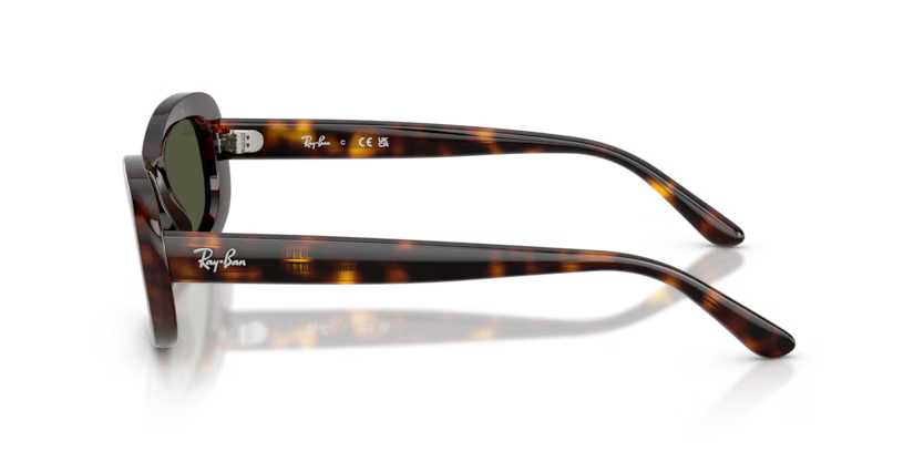 RAY-BAN RB2221 Sunglass