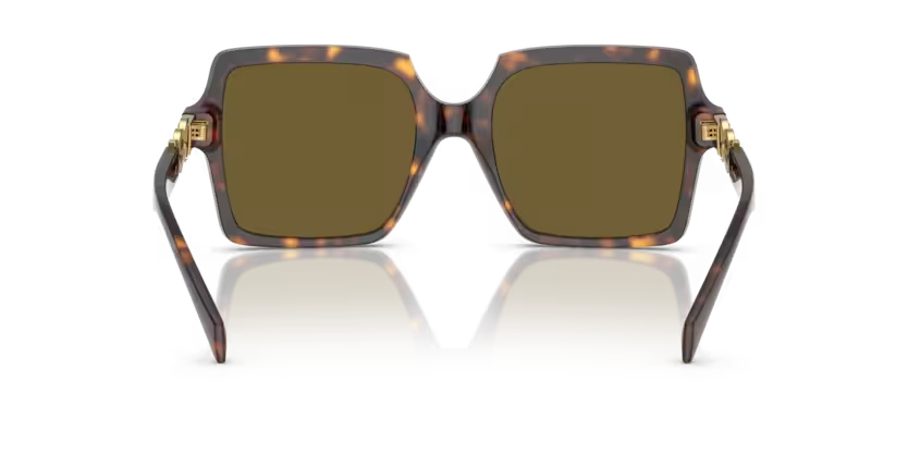 VERSACE VE4441 Sunglass