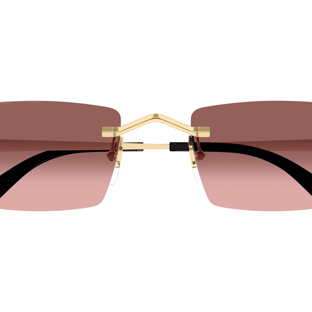 CARTIER CT0598S Sunglass