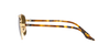 RAY-BAN RB3688 Sunglass