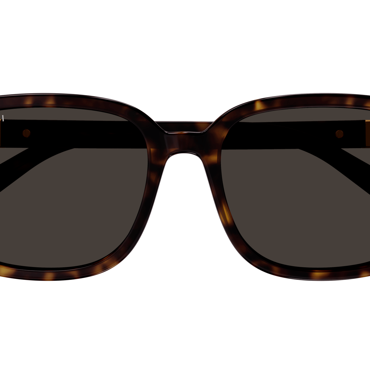 GUCCI GG1505SK Sunglass | High end fashion sunglasses | SpecsBunker India – branded sunglasses in India