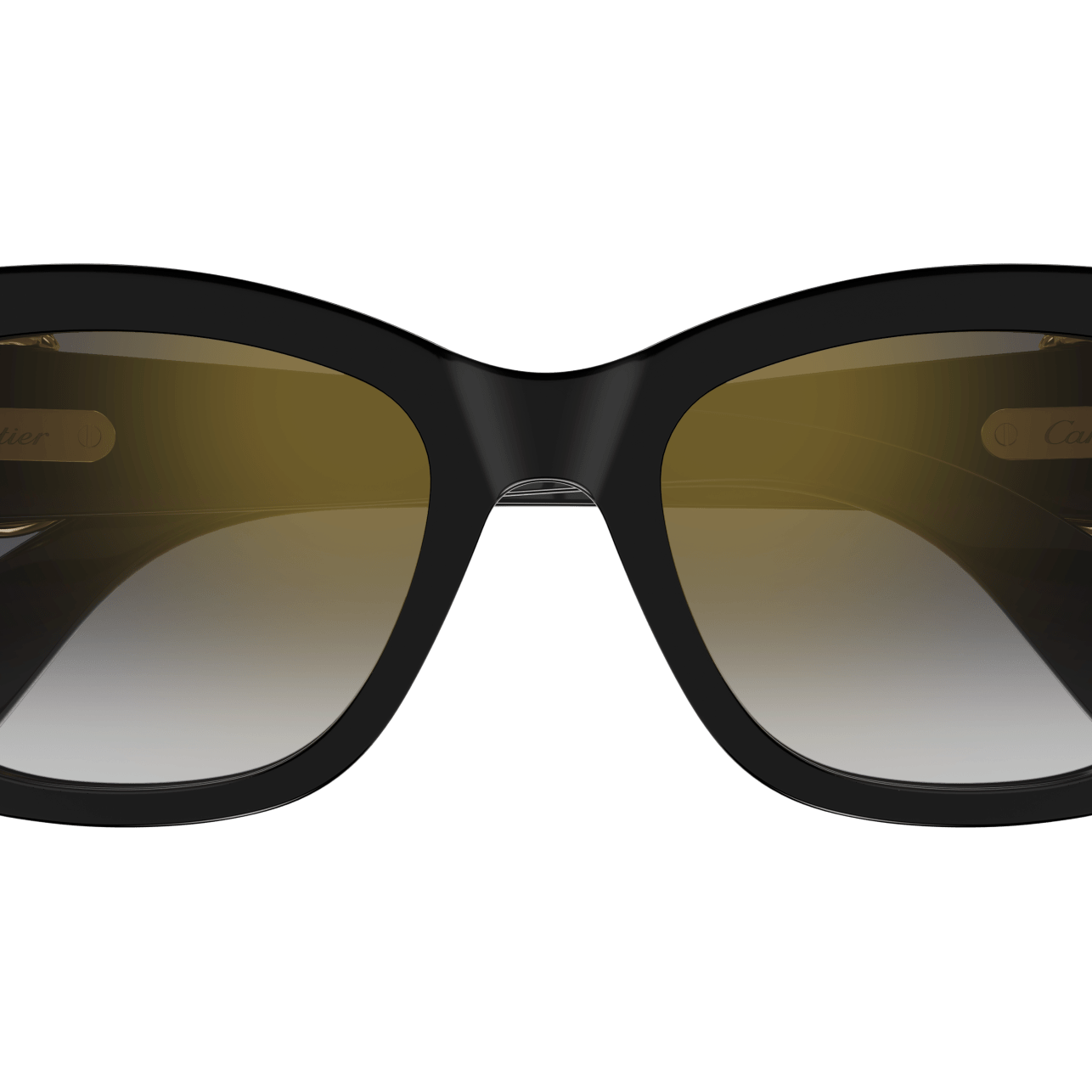CARTIER CT0548SA Sunglass