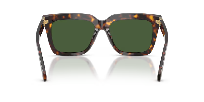 VERSACE VE4498 Sunglass