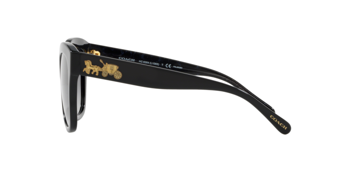 COACH HC8264 Sunglass online in India – stylish designer eyewear
