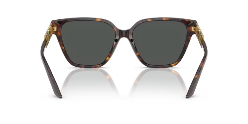 VERSACE VE4471B Sunglass