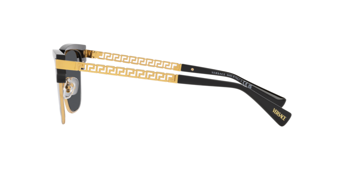 VERSACE VE4447 Sunglass