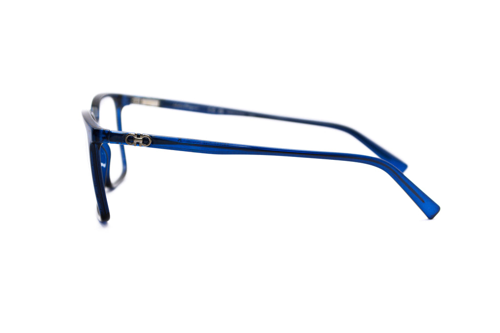 FERRAGAMO SF2954 Optical Frame