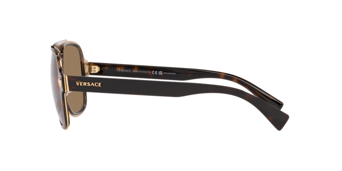 VERSACE VE2199 Sunglass