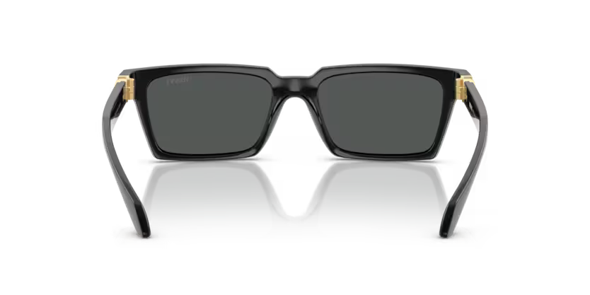 VERSACE VE4490U Sunglass