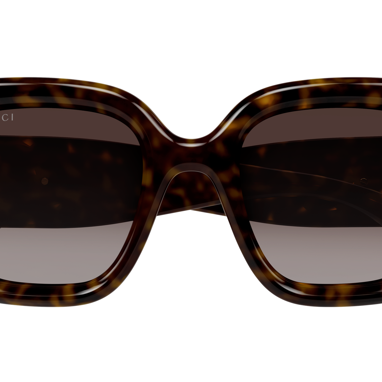 GUCCI GG1975S Sunglass