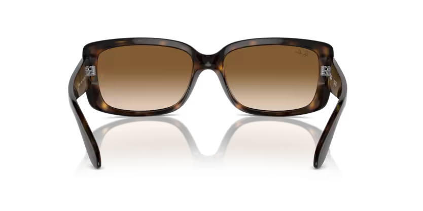RAY-BAN RB4389 Sunglass