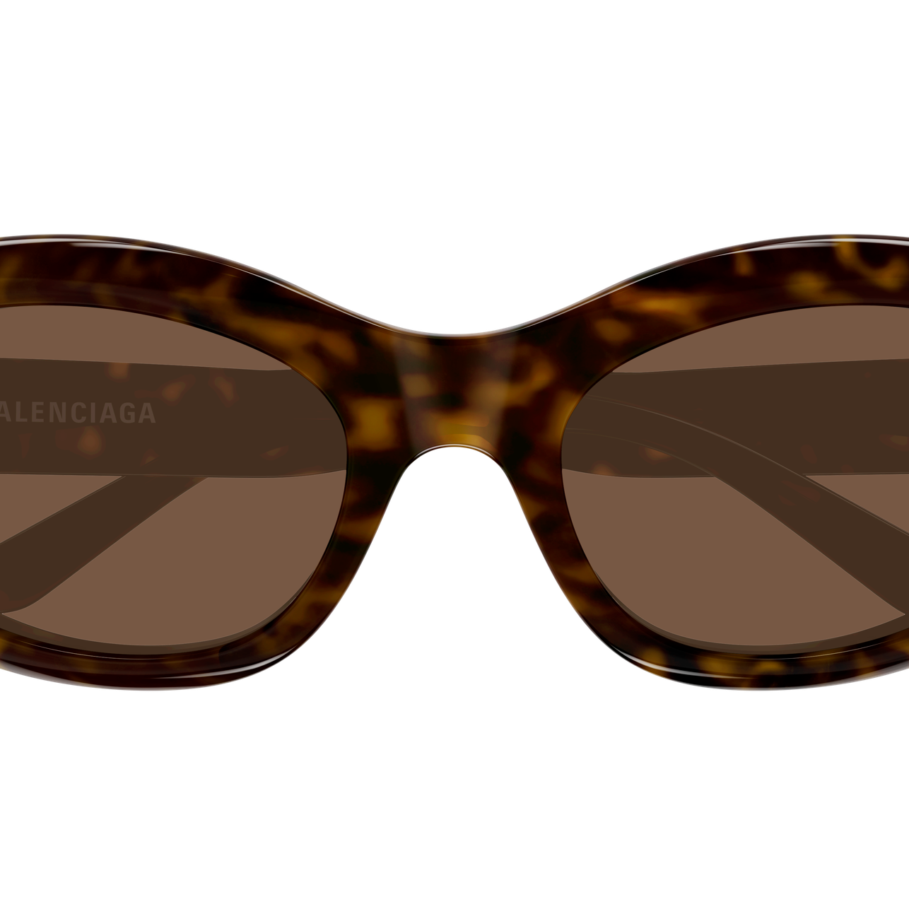 BALENCIAGA BB0431S Sunglass