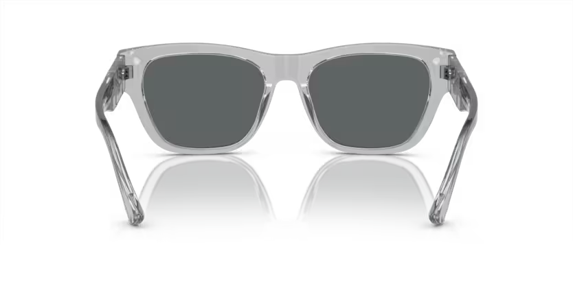 VERSACE VE4457 Sunglass