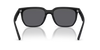RAY-BAN RB4466D Sunglass