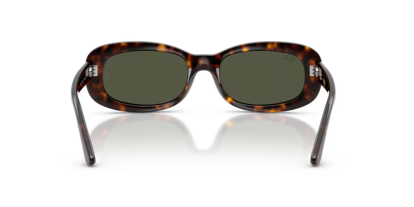 RAY-BAN RB2221 Sunglass