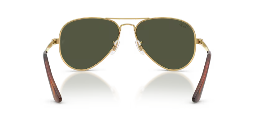 RAY-BAN RB3925 Sunglass
