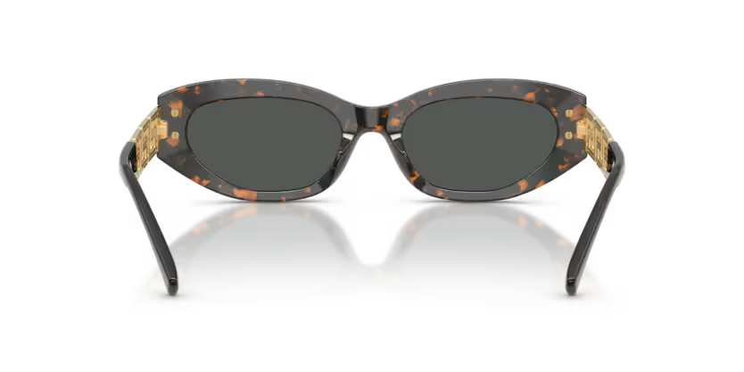 VERSACE VE4501 Sunglass