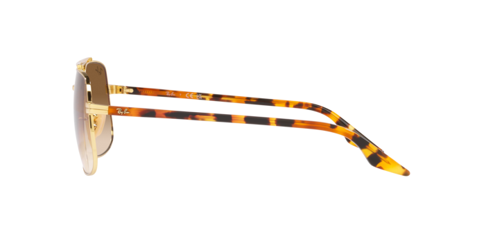 RAY-BAN RB3699 Sunglass