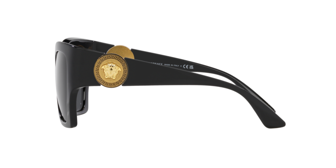 VERSACE VE4452 Sunglass