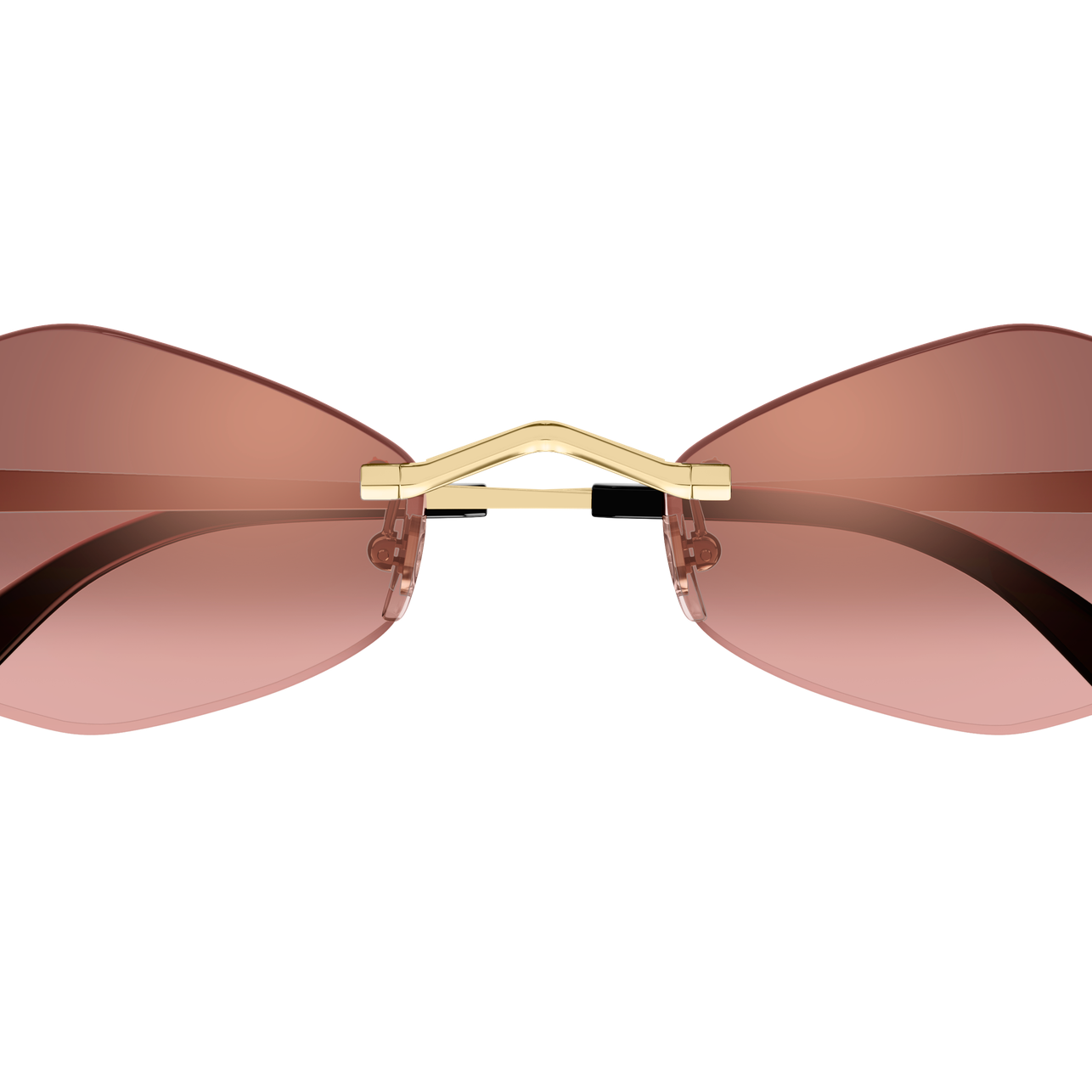 CARTIER CT0433S Sunglass