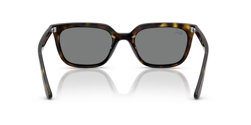 RAY-BAN RB4439D Sunglass