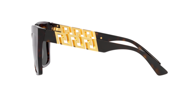 VERSACE VE4418 Sunglass