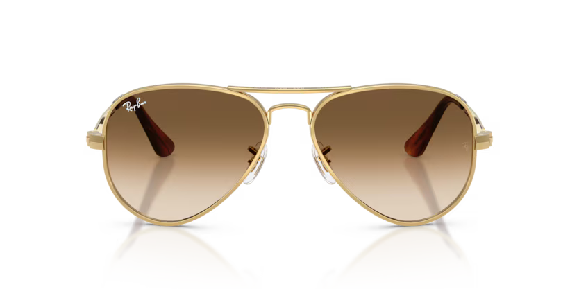 RAY-BAN RB3925 Sunglass
