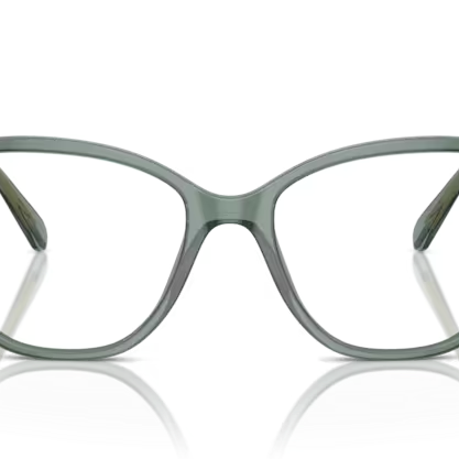 SWAROVSKI SK2020 Optical Frame