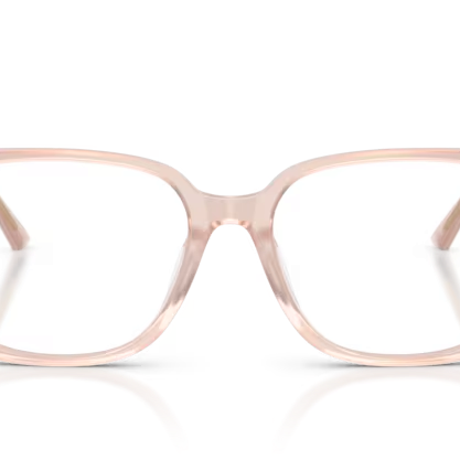 JIMMY CHOO JC3038D Optical Frame