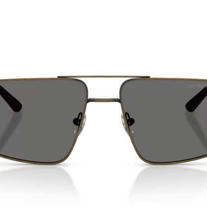 EMPORIO ARMANI EA2173 Sunglass