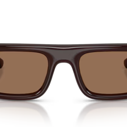 RAY-BAN RAY-BAN RB4954 Sunglass brown pilot/navigator sunglass for Unisex