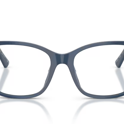 JIMMY CHOO JC3048U Optical Frame