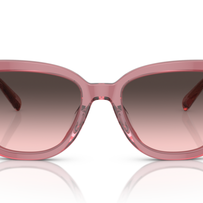 COACH HC8379U Sunglass online in India – stylish designer eyewear