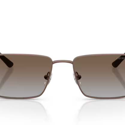 EMPORIO ARMANI EA2169 Sunglass