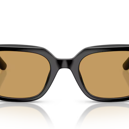 RAY-BAN RB4439D Sunglass