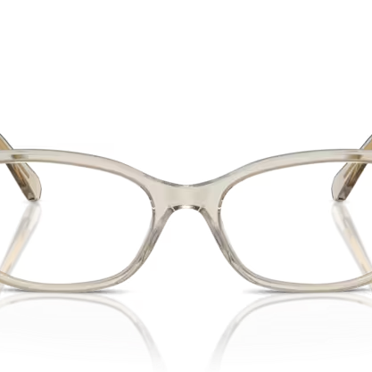 SWAROVSKI SK2017 Optical Frame