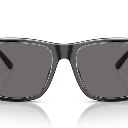 EMPORIO ARMANI EA4208 Sunglass