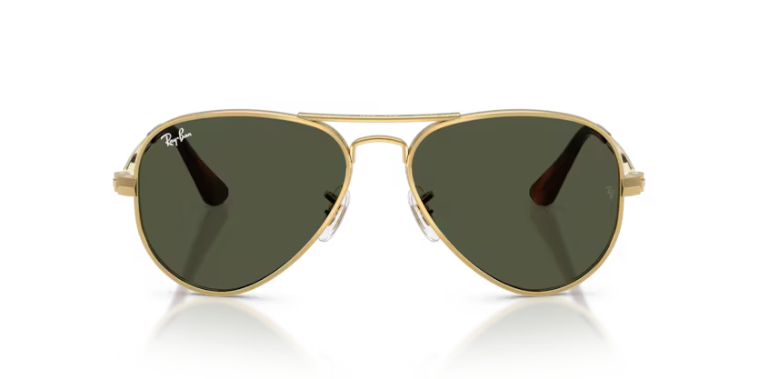 RAY-BAN RB3925 Sunglass