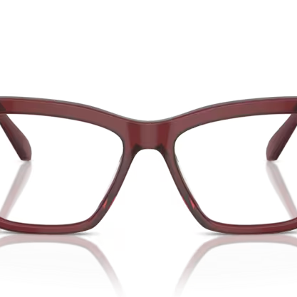 SWAROVSKI SK2021 Optical Frame