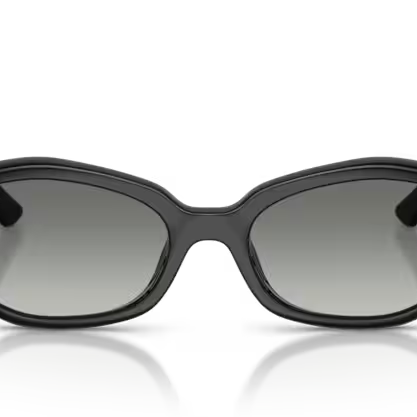 RAY-BAN RAY-BAN RB4473D Sunglass black irregular sunglass for Unisex