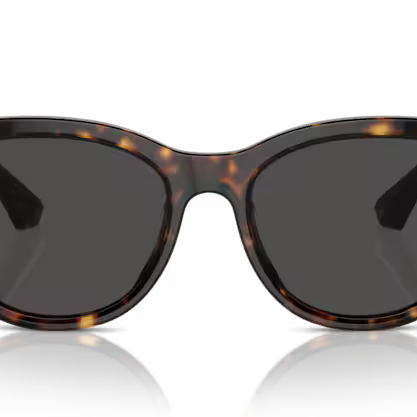 BURBERRY BE4432U Sunglass
